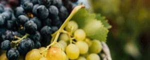 Banner-Origen-3